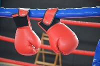 Община Благоевград е домакин на боксов турнир  Смело сърце