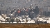 Въздушна операция на Турция срещу сирийските кюрди. Около 200 души убити
