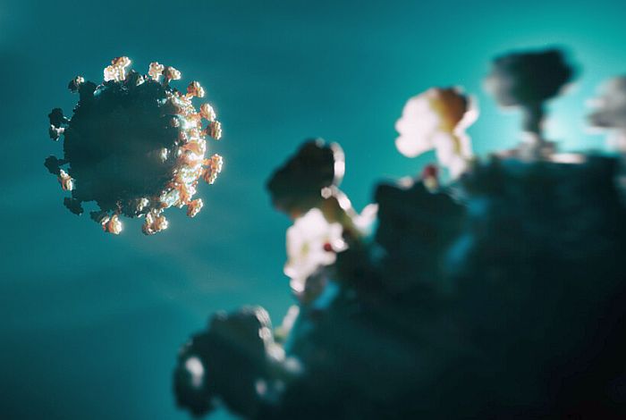 Снимка: iStock