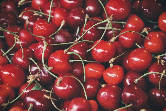 Български производители на плодове търсят нови пазари на FRUIT LOGISTICA 2023 в Берлин