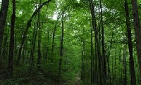 ЮЗДП установи нарушения в  ДГС Белица”