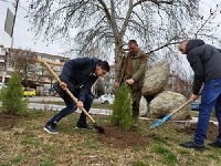 Горски и журналисти засадиха кипариси край паметник