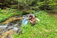 Зарибиха с пъстърви река Ретиже край село Кремен