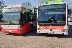Безплатни автобуси на Черешова задушница осигурява Община Благоевград