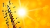 Иде опасно горещо време тази седмица с до 43 градуса, днес стартира с много слънце