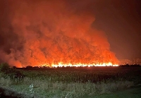 Пожарникари, горски, доброволци и дъжд спряха огнена стихия край Разлог снощи