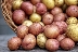 Българският картоф е на път да изчезне