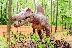 Динозаври превземат парк Бачиново за радост на деца и възрастни