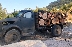 Горски служители от ЮЗДП предотвратиха незаконен транспорт на дърва, шофьорът избяга