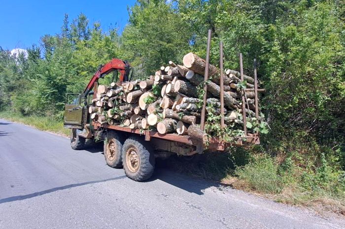 Снимка: ЮЗДП