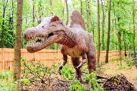 Динозаври са на ден път от парк Бачиново край Благоевград