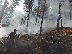Огнеборци и горски спряха голям пожар край пътя Първомай-Кавракирово