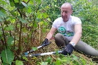 Нова Музикална гора залесяват ЮЗДП и Гласът на България Нова Музикална гора залесяват ЮЗДП и Гласът на България