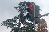 Отвориха денонощна телефонна линия за сигнали за повредени светофари в Благоевград