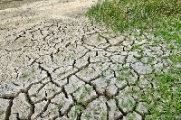 Тежка суша в Добруджа, на места не е валяло от юни