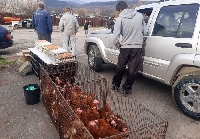 Забраняват животинските пазари в цялата страна