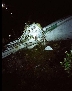 Има оцелели в самолетната катастрофа в Колумбия