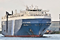 Пускат българските моряци, ако спре войната в Газа, искат още вода, лекарства и храна Пускат българските моряци, ако спре войната в Газа, искат още вода, лекарства и храна