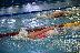 Над 200 деца от България и Сърбия плуват на коледен турнир в Благоевград