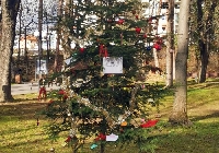 Деца и ученици украсиха 19 коледни дръвчета в Градския парк на Гоце Делчев, наградиха най-добрите
