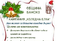 Банскалии дават втори живот на новогодишните си елхи Банскалии дават втори живот на новогодишните си елхи