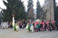 Грейна елхата в Гоце Делчев