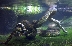 Гигантска зелена анаконда откриха учени в Амазонка