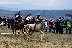 Бачево отдаде почит на конете, кушии повишиха адреналина на участници и зрители