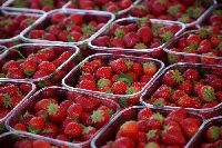 Българските ягоди три пъти по-скъпи от гръцките