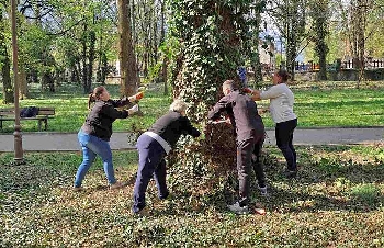 Жители Банско почистиха дърветата в градския парк