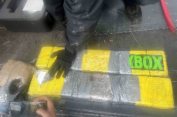 Митничари спипаха над 6 кг кокаин в двойстеремарке