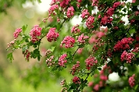 Жълт код за валежи днес, на места са възможни и градушки Жълт код за валежи днес, на места са възможни и градушки