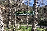 Въженият парк в Бачиново ще е безплатен за празника на децата