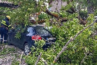 Мощна буря удари Банско снощи, повали дървета и клони, нанесе щети на коли