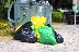 Община Благоевград стартира кампания за информиране на гражданите за разделно събиране на отпадъци