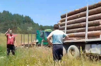 Спипаха незаконна дървесина, натоварена в обект на фирма на бившия кмет на Конарско