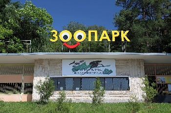 Стратегия на експерти - зоопаркът в Благоевград се разширява и става Гора на мечките и вълците