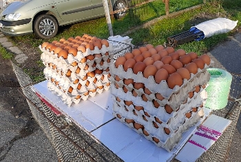 ЕС връща митата върху вноса яйца и захар от Украйна