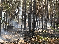 724 горски служители на ЮЗДП са участвали в борбата с пожарите от началото на годината