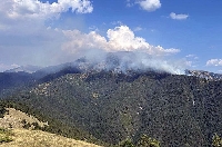Над 20 огнеборци и горски са накрак в планина Славянка заради пожара в Гърция