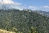 Пожарът в Гърция достигна до граничната бразда, наши огнеборци се борят със стихията