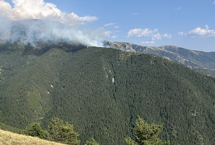 Огнеборци и хеликоптер потушиха пожара, дошъл от Гърция, има още тлеещи огнища