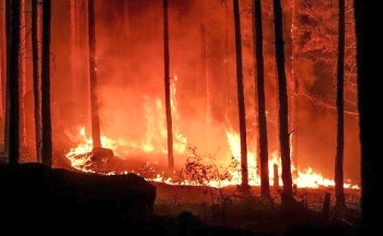2 самолета и 4 хеликоптера гасят пожара на границата с Гърция