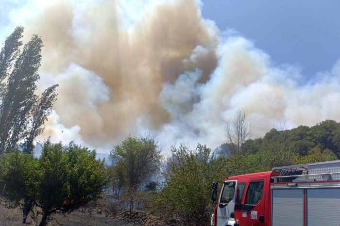 Огромен пожар бушува между Каменица и Микрево