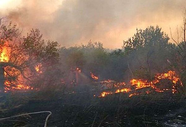 Огнеборци и багери спират пожара край границата с Гърция
