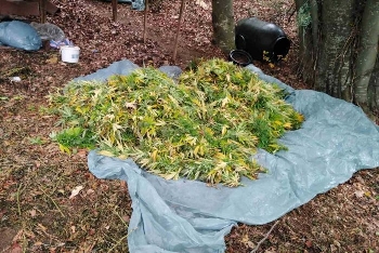 Окръжна прокуратура-Благоевград ръководи разследване за контрабанда на 350 кг марихуана