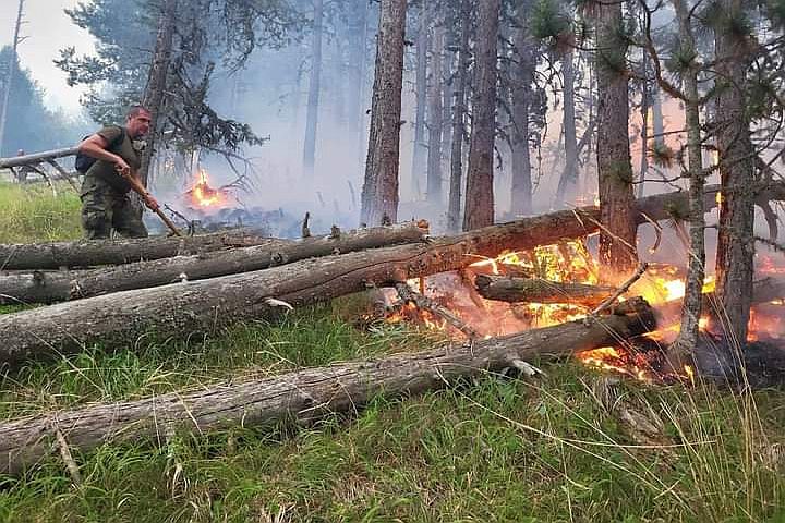 Над 100 огнеборци и два шведски самолета в битка с огъня на българо-гръцката граница
