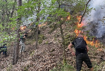 Локализиран е пожарът над село Сенокос, хеликоптери и огнеборци продължават битката с огъня