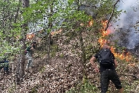 Локализиран е пожарът над село Сенокос, хеликоптери и огнеборци продължават битката с огъня