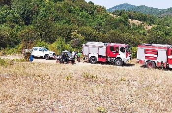 Ограничиха единия пожар край границата, изсъхнало дърво падна върху горски служител